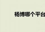杨博哪个平台直播（杨博直播间）