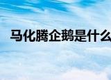 马化腾企鹅是什么意思（企鹅是什么意思）