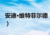 安迪·维特菲尔德（关于安迪·维特菲尔德介绍）