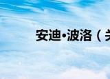 安迪·波洛（关于安迪·波洛介绍）