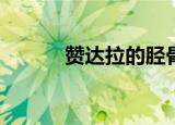 赞达拉的胫骨攻击者摔在哪里？