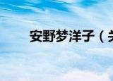安野梦洋子（关于安野梦洋子介绍）