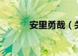 安里勇哉（关于安里勇哉介绍）