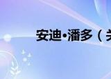 安迪·潘多（关于安迪·潘多介绍）