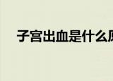 子宫出血是什么原因造成的（子宫出血）