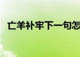 亡羊补牢下一句怎么接（亡羊补牢下一句）