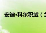 安迪·科尔积域（关于安迪·科尔积域介绍）