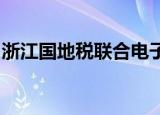 浙江国地税联合电子税务局里如何拉信用等级
