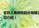 安邦人寿保险股份有限公司（关于安邦人寿保险股份有限公司介绍）