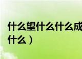 什么望什么什么成语大全四个字（什么望什么什么）