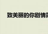 致美丽的你剧情简介（致美丽的你结局）