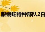 眼镜蛇特种部队2白幽灵（眼镜蛇特种部队2）