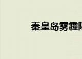 秦皇岛雾霾限行（秦皇岛雾霾）