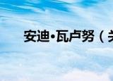 安迪·瓦卢努（关于安迪·瓦卢努介绍）