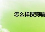  怎么样搜狗输入法中会打出火星文