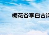 梅花谷李白古诗原文（梅花谷 李白）