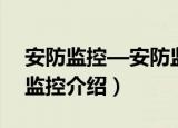 安防监控—安防监控（关于安防监控—安防监控介绍）