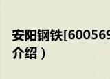 安阳钢铁[600569]（关于安阳钢铁[600569]介绍）