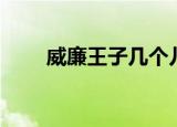 威廉王子几个儿子（威廉王子弟弟）