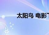 太阳鸟 电影下载（太阳鸟 电影）