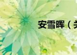 安雪晖（关于安雪晖介绍）