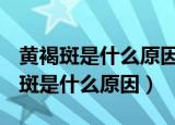 黄褐斑是什么原因引起的,可以去掉吗?（黄褐斑是什么原因）