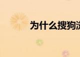  为什么搜狗浏览器中打不开网页