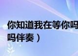 你知道我在等你吗伴奏钢琴（你知道我在等你吗伴奏）