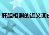 肝胆相照的近义词成语（肝胆相照的近义词）