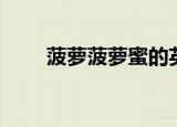 菠萝菠萝蜜的英文（菠萝蜜的英文）
