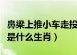 鼻梁上推小车走投无路是什么生肖（走投无路是什么生肖）