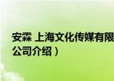 安霖 上海文化传媒有限公司（关于安霖 上海文化传媒有限公司介绍）