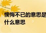 懊悔不已的意思是什么在藏羚羊的跪拜里面是什么意思
