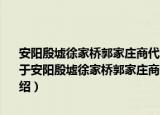 安阳殷墟徐家桥郭家庄商代墓葬——2004～2008年殷墟考古报告（关于安阳殷墟徐家桥郭家庄商代墓葬——2004～2008年殷墟考古报告介绍）