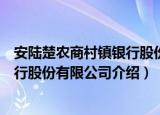 安陆楚农商村镇银行股份有限公司（关于安陆楚农商村镇银行股份有限公司介绍）