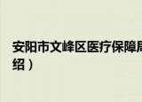 安阳市文峰区医疗保障局（关于安阳市文峰区医疗保障局介绍）