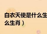 白衣天使是什么生肖打一生肖（白衣天使是什么生肖）