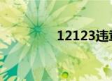 12123违章查询（12 12）
