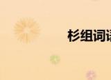 杉组词语（本组词语）