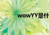 wowYY是什么意思（wow yy）
