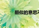 酷似的意思不变（酷似的意思）