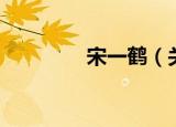 宋一鹤（关于宋一鹤介绍）