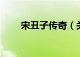 宋丑子传奇（关于宋丑子传奇介绍）