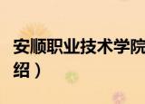 安顺职业技术学院（关于安顺职业技术学院介绍）