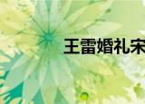 王雷婚礼宋丹丹（王雷婚礼）