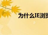  为什么IE浏览器打开显示空白页