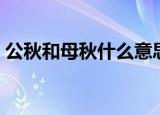 公秋和母秋什么意思（公秋母秋是什么意思）