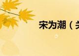 宋为潮（关于宋为潮介绍）