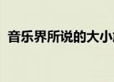音乐界所说的大小施特劳斯是不是负责关系
