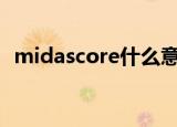 midascore什么意思（midas是什么意思）